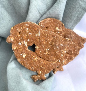 Spring Chicks! 2 Buddies!