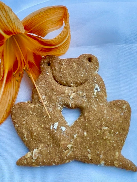 Grinning Frog